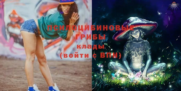 соль ск Михайловск