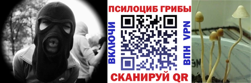 цена наркотик  Харабали  ссылка на мегу зеркало  Псилоцибиновые грибы GOLDEN TEACHER 